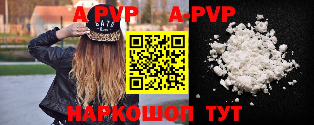 Альфа ПВП СК Губкинский