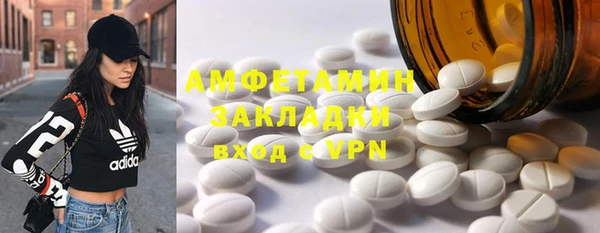 прущие грибы Осташков