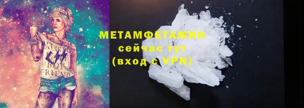 прущие грибы Осташков