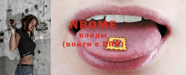 прущие грибы Осташков