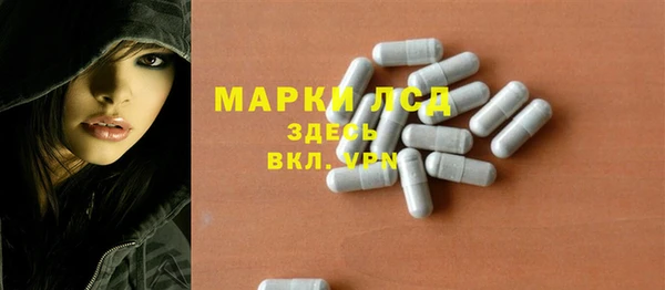 прущие грибы Осташков