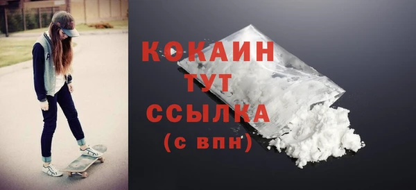 прущие грибы Осташков