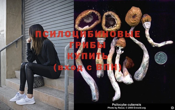 хмурый Переславль-Залесский