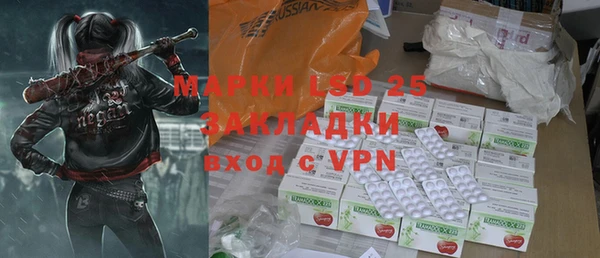 прущие грибы Осташков