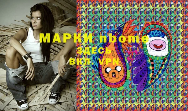 дурь Ельня