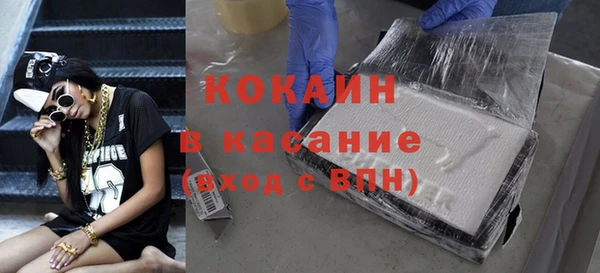 дмт Пересвет