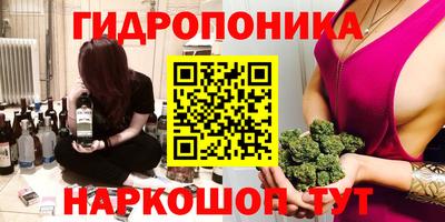 мдпв Гатчина