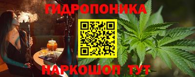 ALPHA PVP Бийск